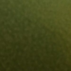 Meet your Posher, Lara