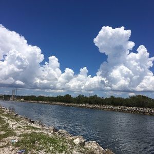 Meet your Posher, Janice