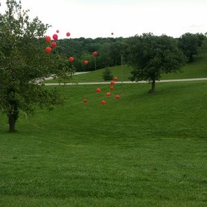 Meet your Posher, Billi