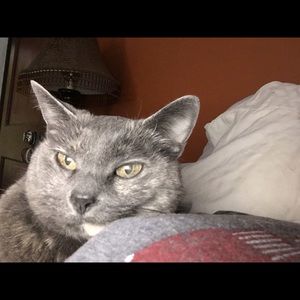 Meet your Posher, Esra