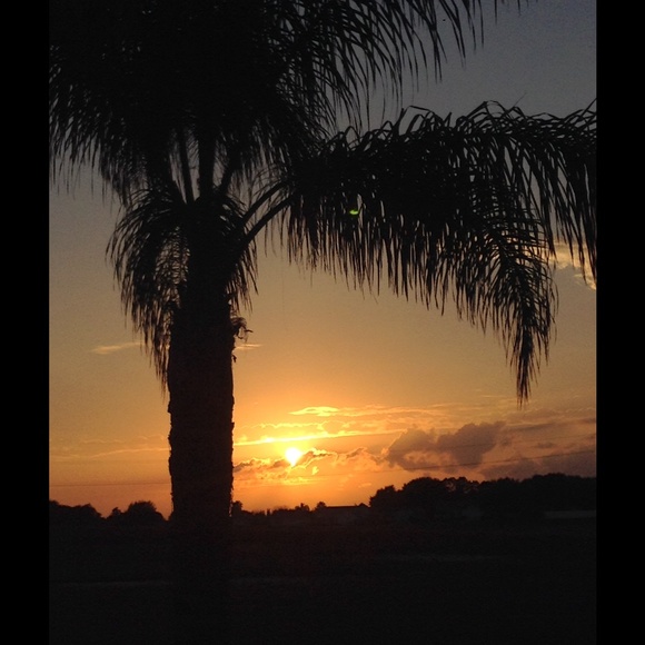 Meet your Posher, Loree - Picture 1 of 1