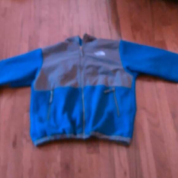 The North Face Jackets & Blazers - North Face Jacket