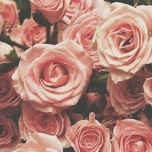 Meet your Posher, Luisa