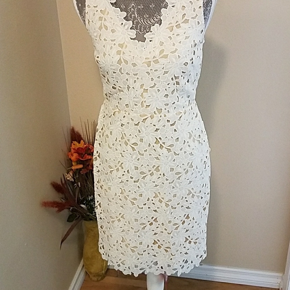 Elegant summer Loft lace dress