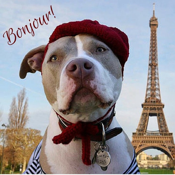 Bonjour! I hope you enjoy your look around !