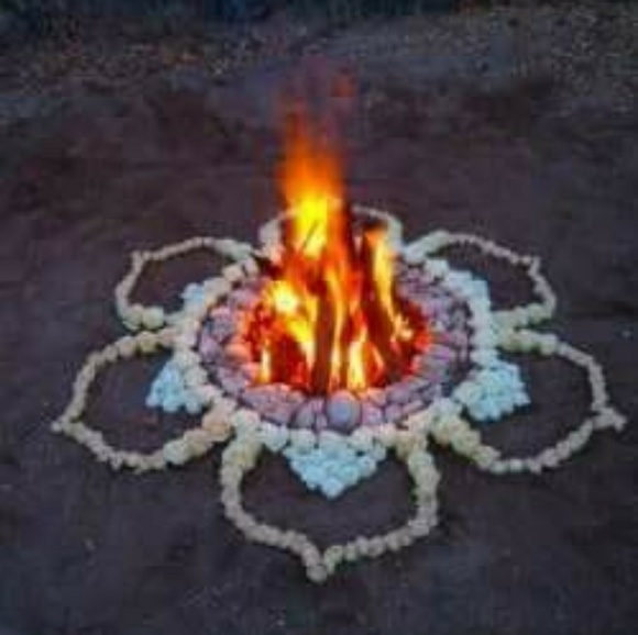 Meet your Posher, Holly - Picture 7 of 8