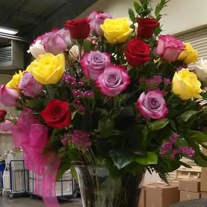 Meet your Posher, Maria