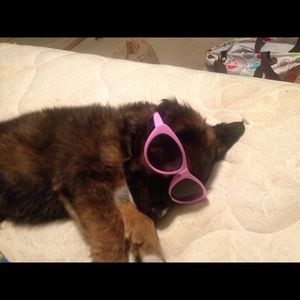 Meet your Posher, Brittney