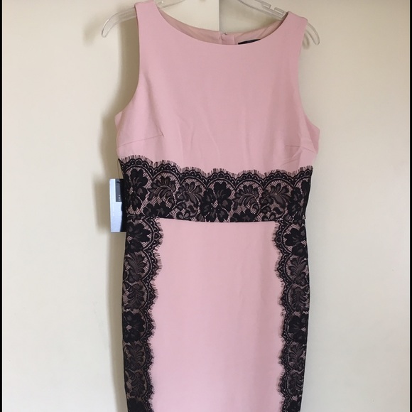 NWT Lace Trim Sheath Dress - THE LIMITED SIZE 6