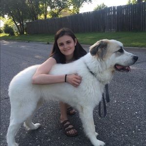 Meet your Posher, Morgan