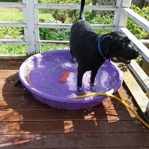 Meet your Posher, Ruth