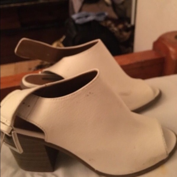 Size 5.5