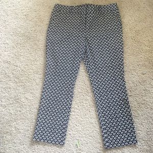 Loft Marisa Skinny pants  size 18