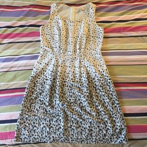 Ann Taylor LOFT Dress