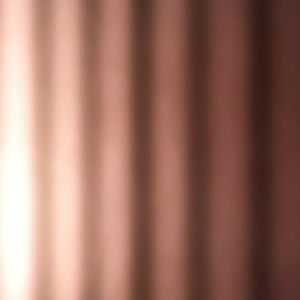 Meet your Posher, Terina