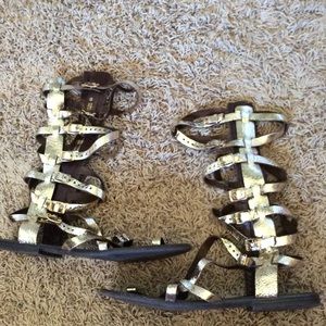 STEVE MADDEN gold gladiator sandals