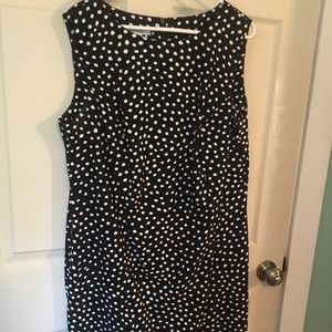 Dressbarn 16W polka dot dress