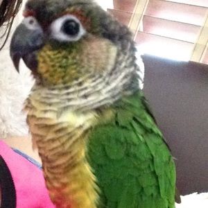 Meet your Posher, Aubrey