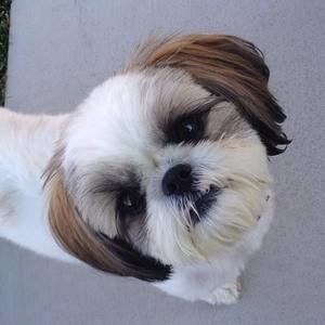 Meet your Posher, Hillary