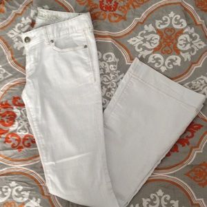 Express Stella Regular fit low rise Flare jeans