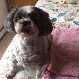 Meet your Posher, Sandy