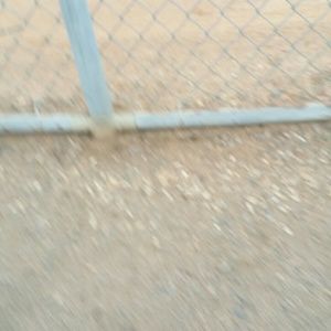 Meet your Posher, Priscilla