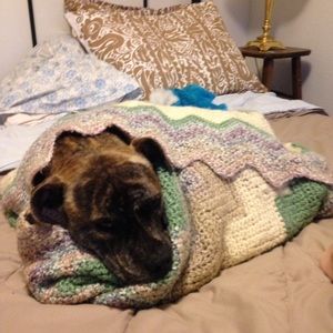 Meet your Posher, Dora