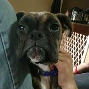 Meet your Posher, Tami