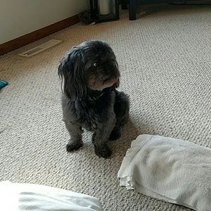 Meet your Posher, Wendy