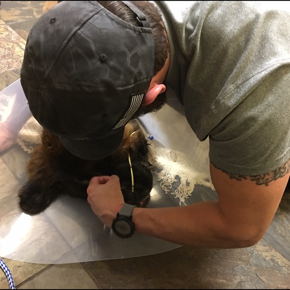 Nick's home with his furry, ❤️shaped butt! 😍🙏🐶 - Picture 2 of 2