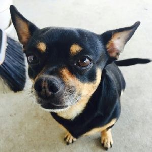 Meet your Posher, Judith