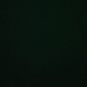 Meet your Posher, Ann