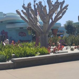 Meet your Posher, Heather-ann