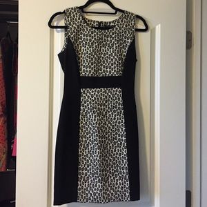 Rachel Zoe Dress