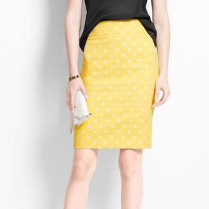 Ann Taylor polka dot skirt