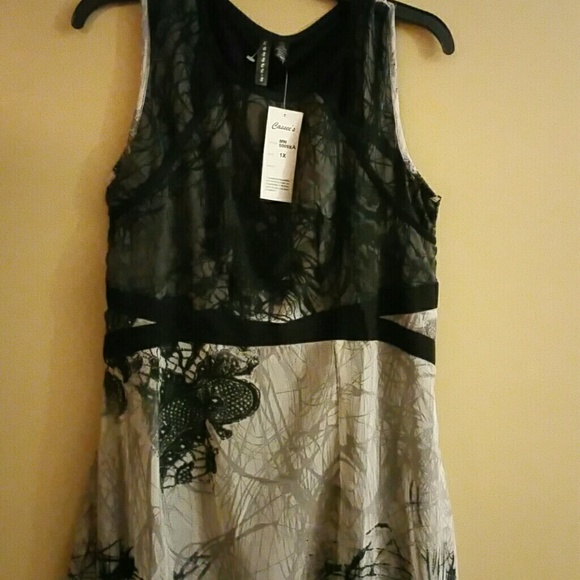 Cassees - Picture 2 of 4