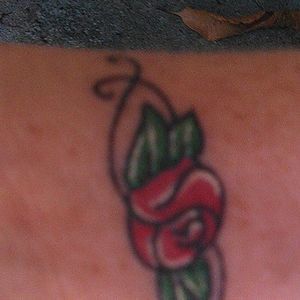 Meet your Posher, Charlotte