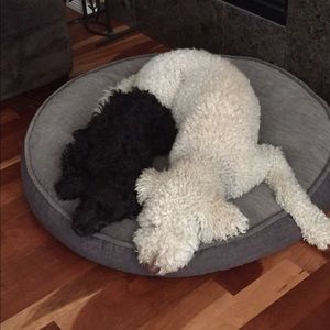 Meet your Posher, Tess