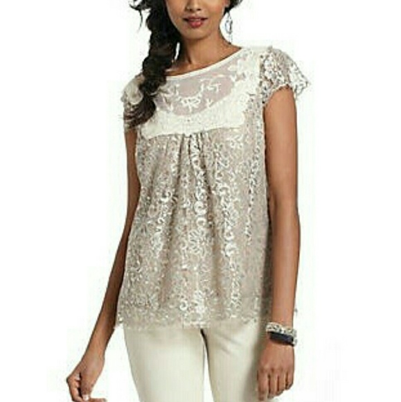 HD In Paris Metallic Lace Tee