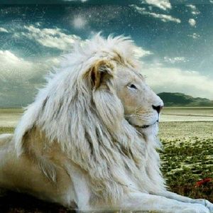 Meet your Posher, Michaela