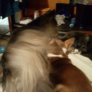 Meet your Posher, Pam