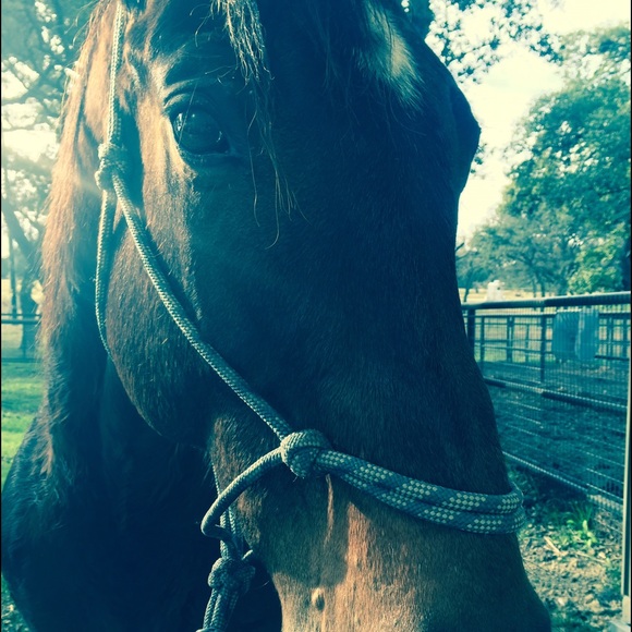 Meet your Posher, Maddie