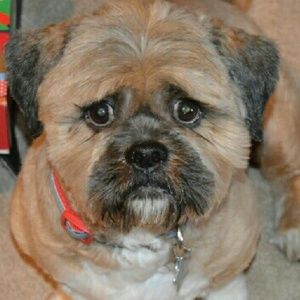 Meet your Posher, Lindsey