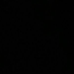 Meet your Posher, Katrina