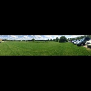 Meet your Posher, Elise