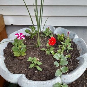 Meet your Posher, Lynn