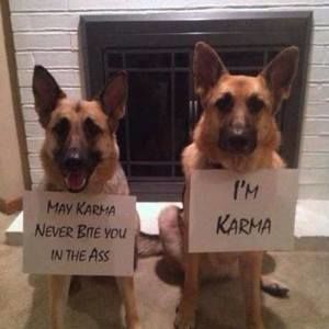 Meet your Posher, Cynthia