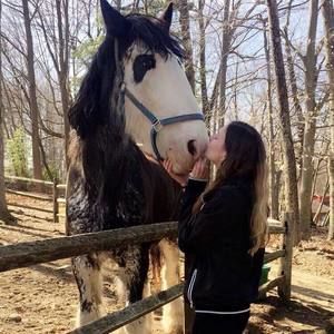 Meet your Posher, Misa