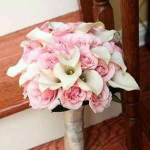 Meet your Posher, Alexa