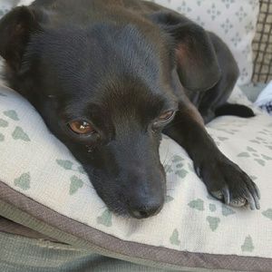 Meet your Posher, Jaimee